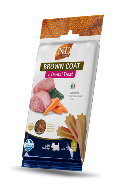 ND POSLASTICA BROWN COAT DENTAL 60g